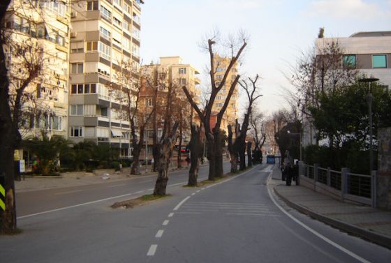 agaclar-bir-kentin-degisimine-tanik-oluyor