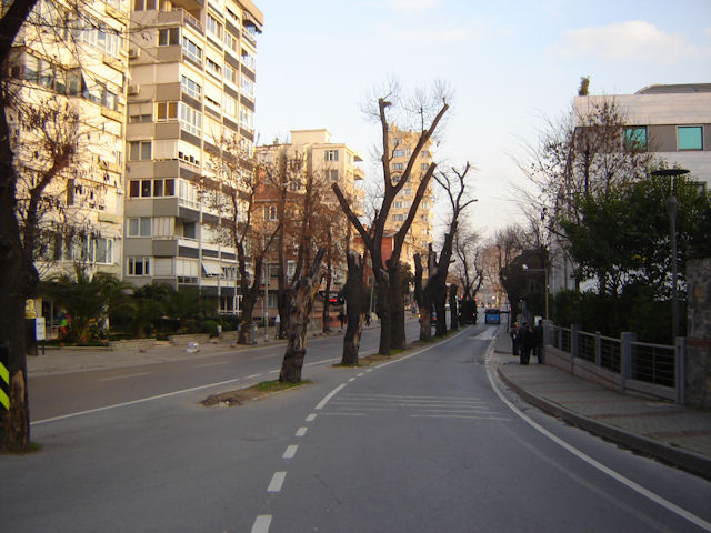 agaclar-bir-kentin-degisimine-tanik-oluyor