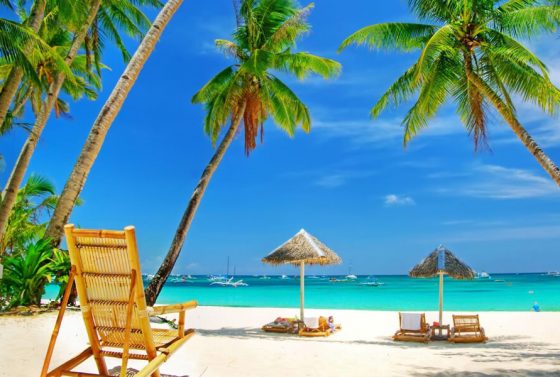 hindistan-goada-evlerin-bahceleri-mal-sahibinin-dinini-soyluyor