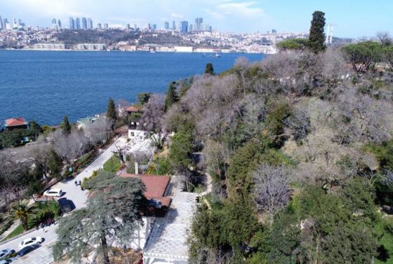 anadolu-yakasi-korulari-fethipasa-korusu